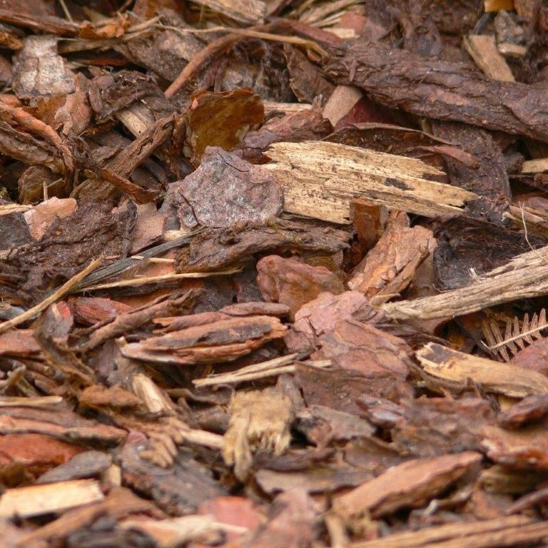 Rindenmulch